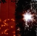 Sunshine of your Love