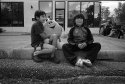 Boys at a Parade (2011)