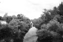 Los Angeles River 2