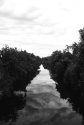 Los Angeles River 4
