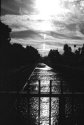 Los Angeles River 6