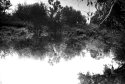 Reflection