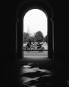 Leica and Hasselblad shots
