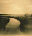 marsh impressions