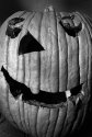 Another Pumpkin