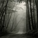 Beacon Road - Photostock 2011