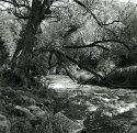 Credit River