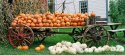 Pumpkin Cart