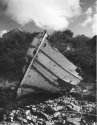 1st attempt at using the new Ilford art fb paper