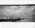 Forester Park Pier