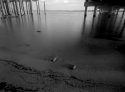 pylons at Panacea