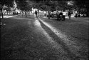 Princess Park Shadows
