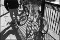 Bikes and Shadows