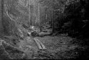 Footpath