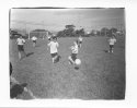 Pink Piranhas vs Purple Panthers