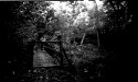Pinhole photos