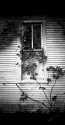 Pinhole photos