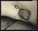 Inclusions