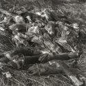 Rein deer remains, I