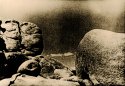 Joshua Tree