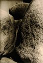 Joshua Tree