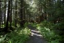 Kupreanof trail