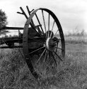 Country shots
