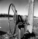 Country shots