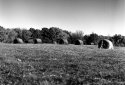 Country shots