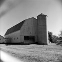 Country shots
