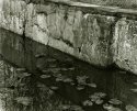 Canal