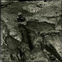 Rocks