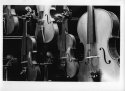 String Section