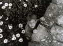 Flowers by the Stone Wall