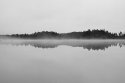 Morning mist