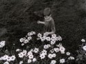 Flower Garden