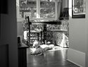 Their Space