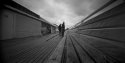 Cromer pier fishing