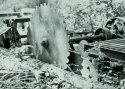 Saw Mill