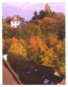 Autumn Colors