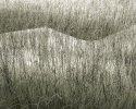 Patterns, Skye