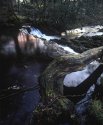 Torver Beck