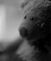 Bee Bear, again...