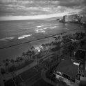 Honolulu Lulu Too