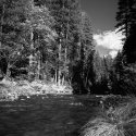 American River