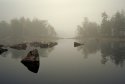 Morning mist #5
