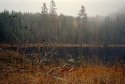 Secluded pond