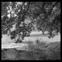 Arboretum, Seattle