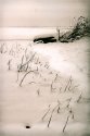 2010-12-19 048 lith