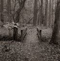 foot bridge